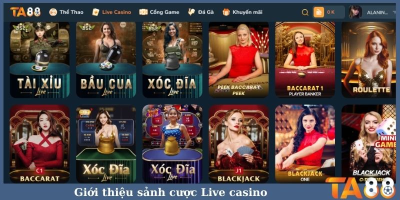 Giới thiệu sảnh cược Live casino