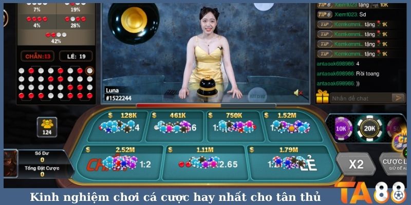 Kinh nghiệm chơi cá cược hay nhất cho tân thủ