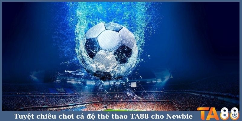 Tuyệt chiêu chơi cá độ thể thao TA88 cho Newbie