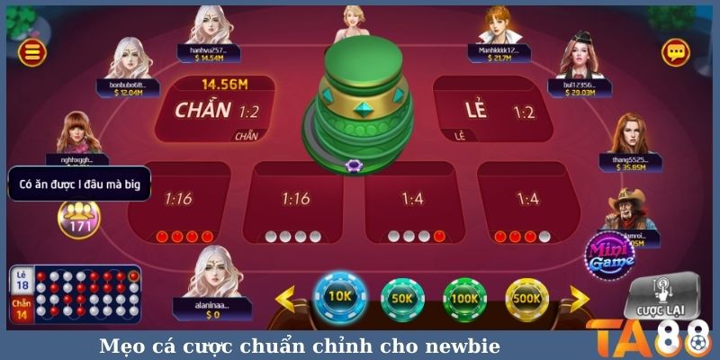 Mẹo cá cược chuẩn chỉnh cho newbie